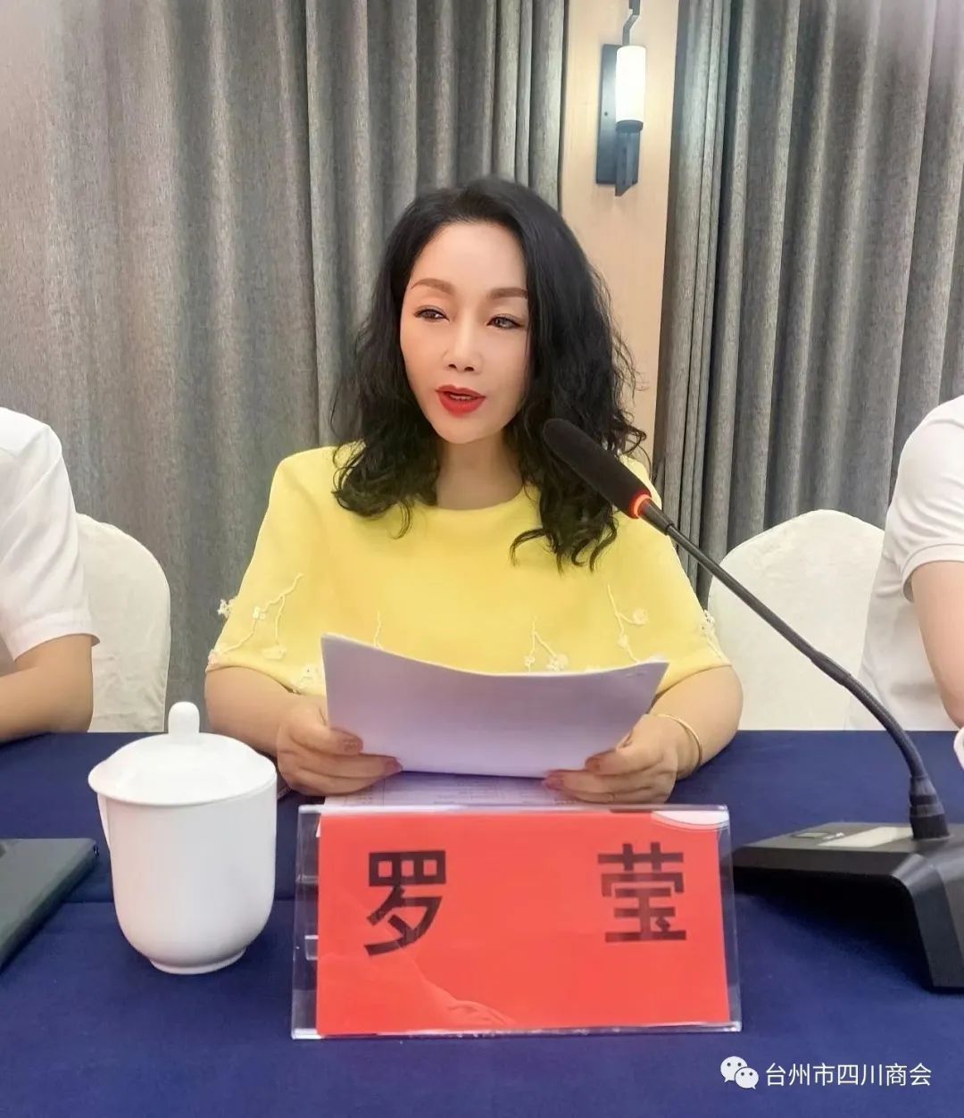 副秘书长罗莹做2022年-2023年上半年财务报告.jpg